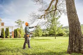 Best Tree and Shrub Care  in Bret Harte, CA